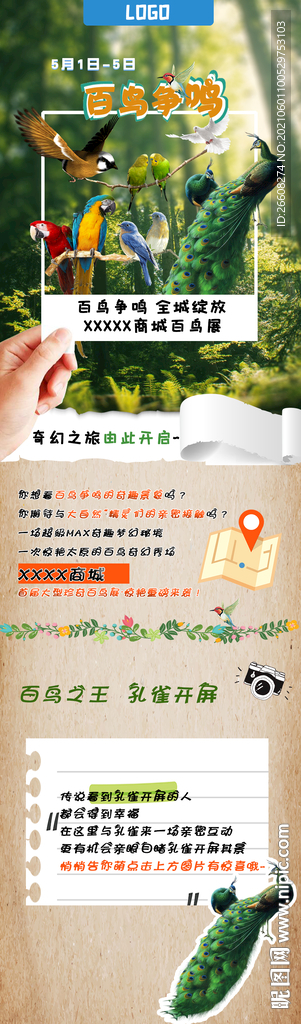 鸟展活动长图