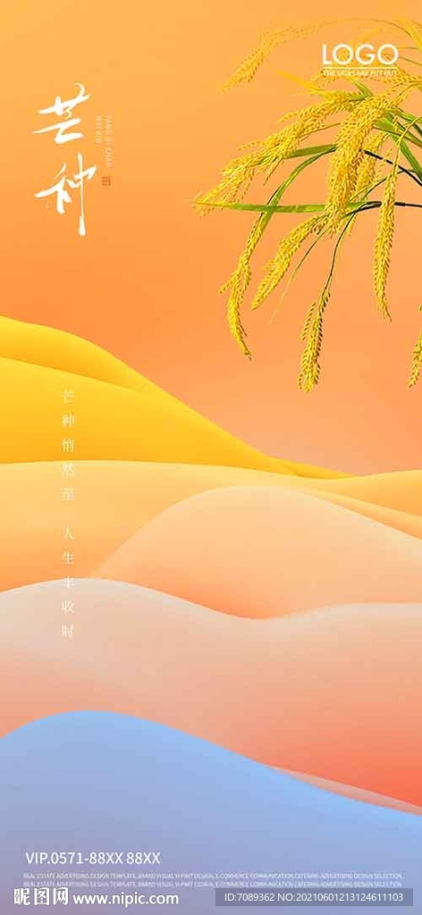 芒种