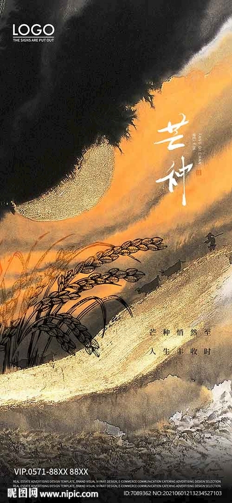芒种