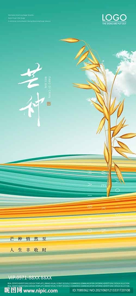 芒种