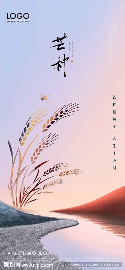 芒种