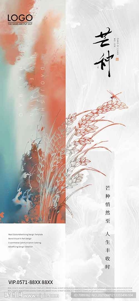 芒种