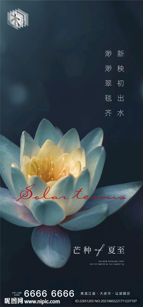 芒种夏至