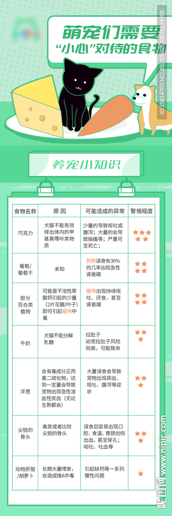 养宠注意事项