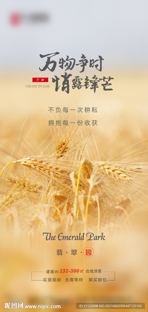 芒种图片