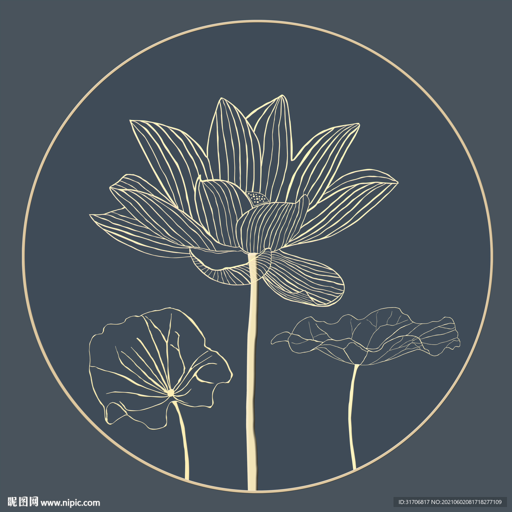 线条荷花