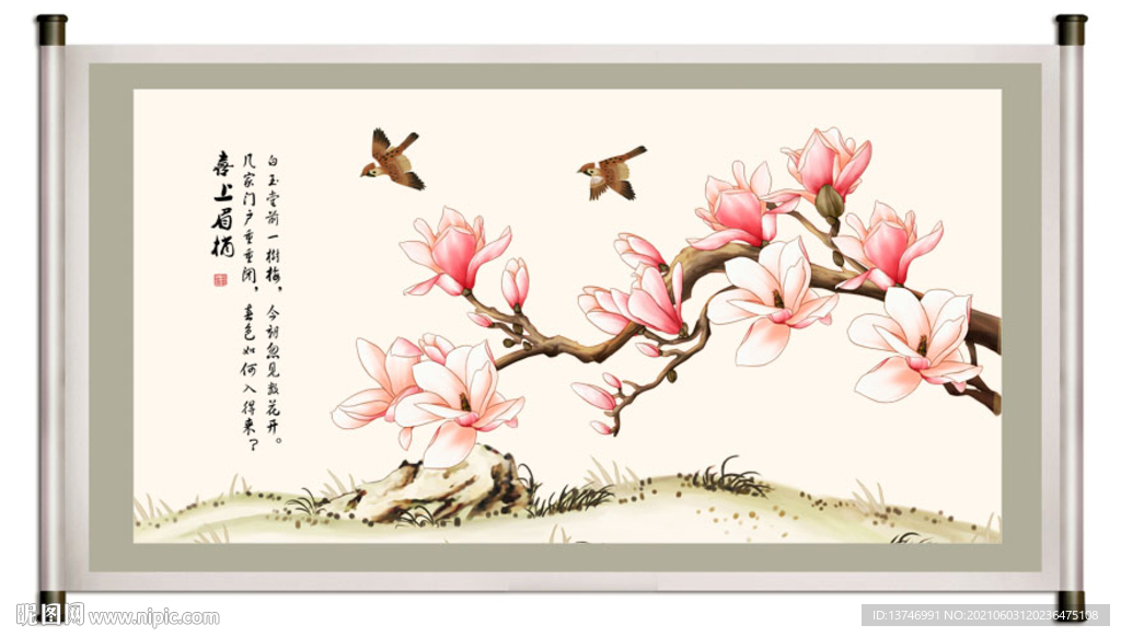 玉兰花