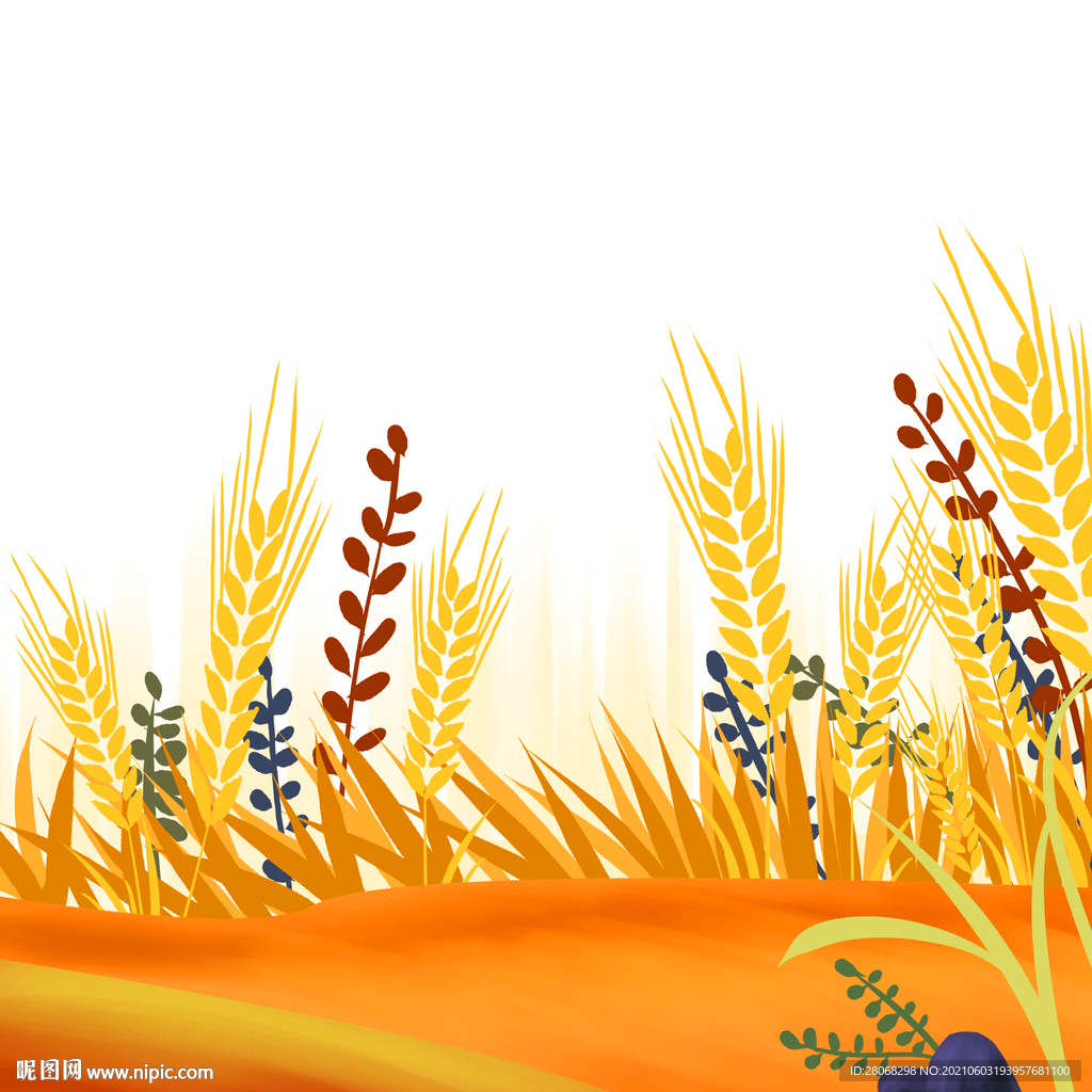 芒种插画麦子卡通元素