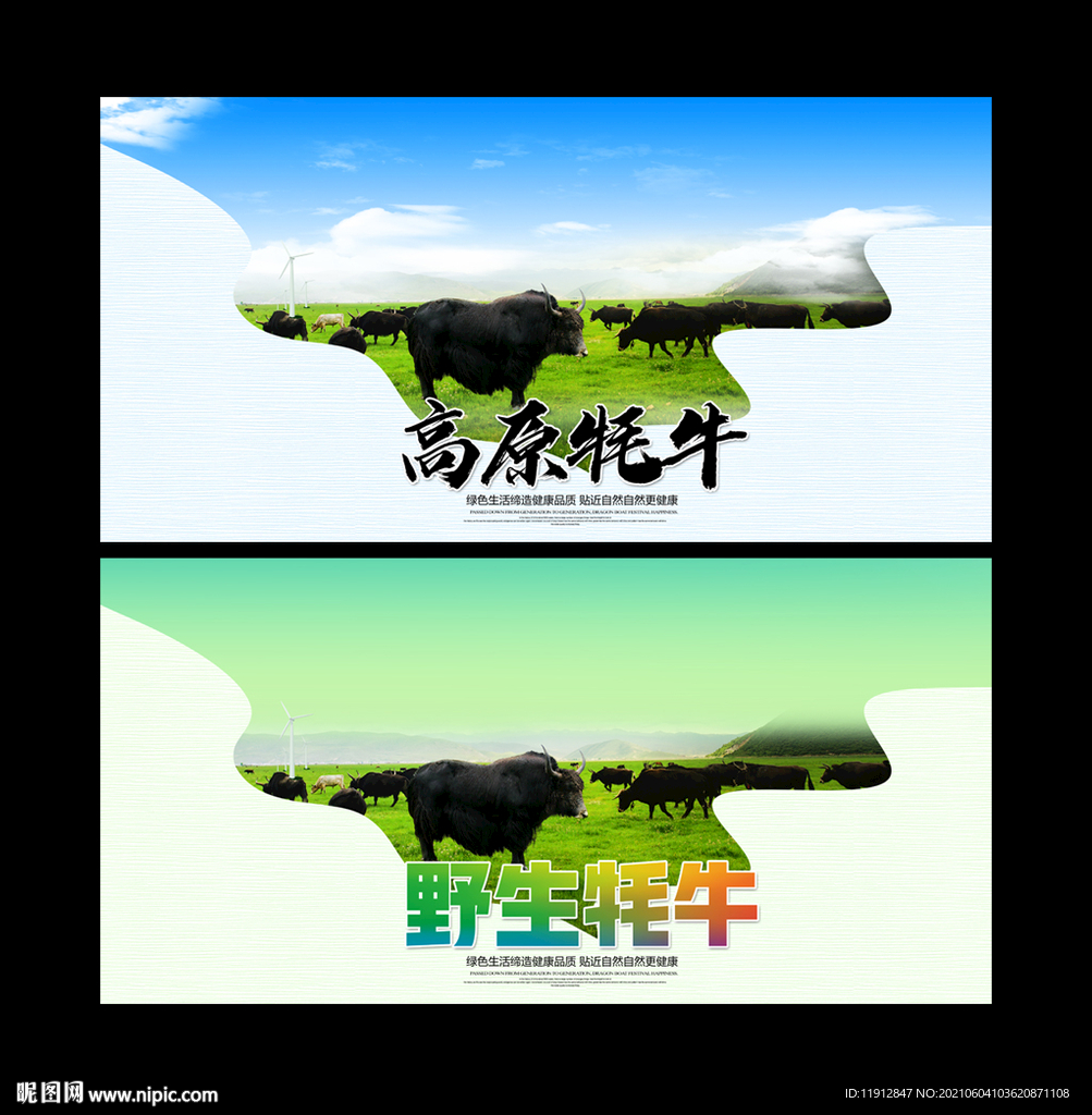 牦牛