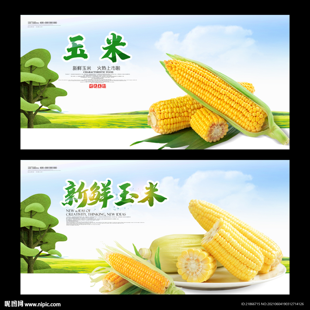 玉米
