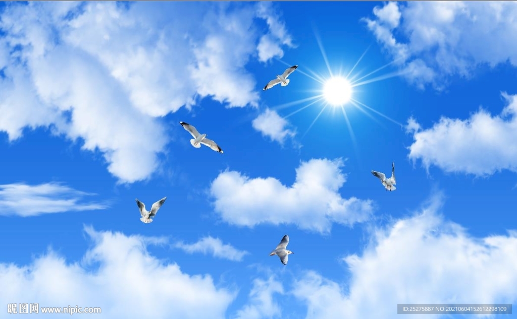 蓝天白云鸽子