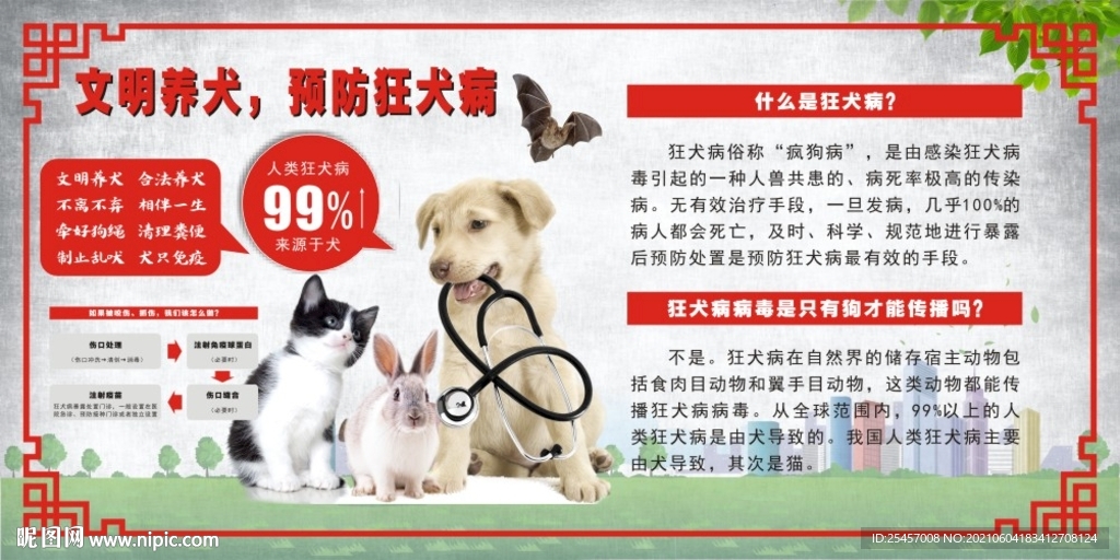 预防狂犬 
