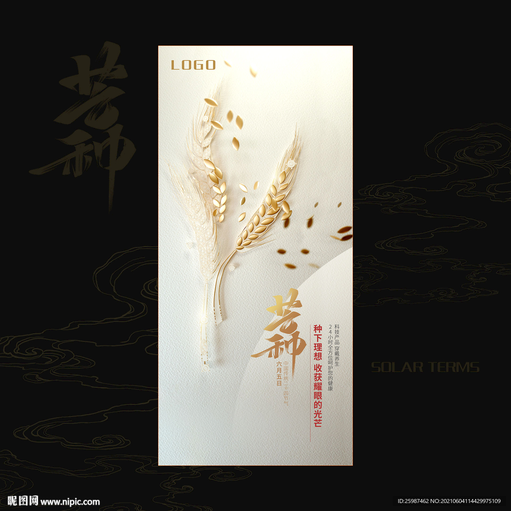 芒种宣传海报