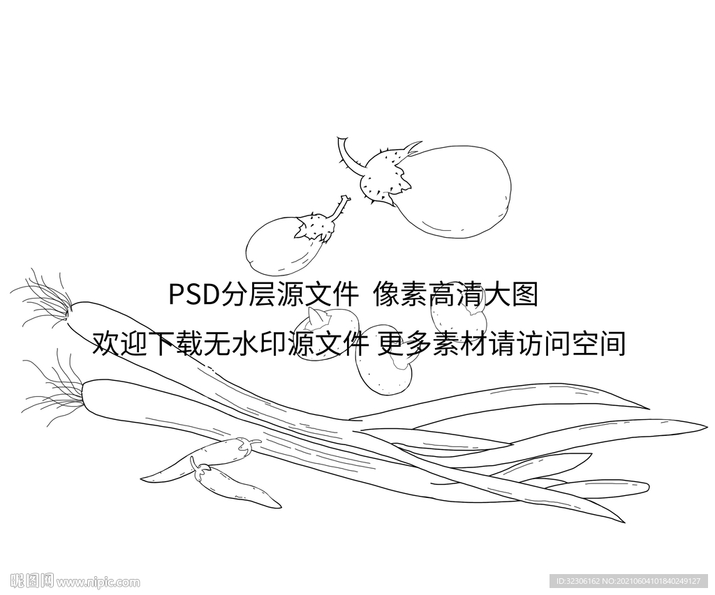 蔬菜插画 