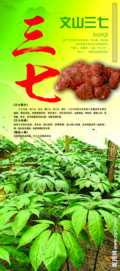 三七宣传展架