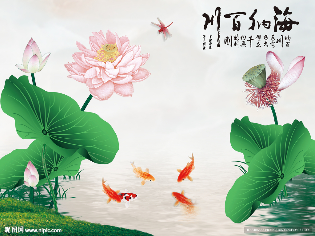 荷花图