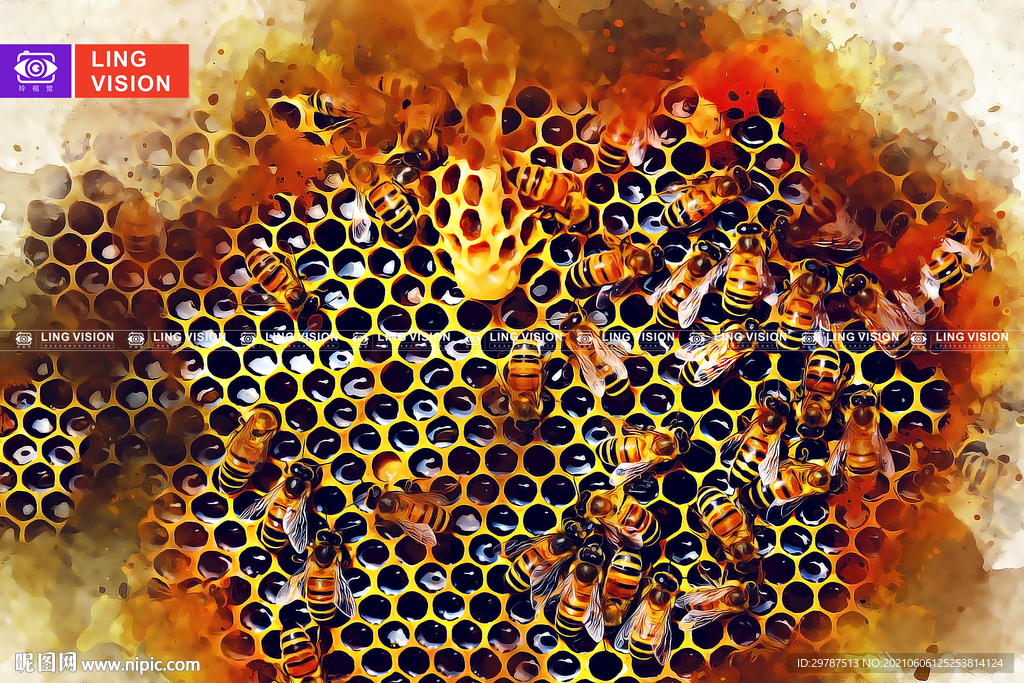 蜜蜂 