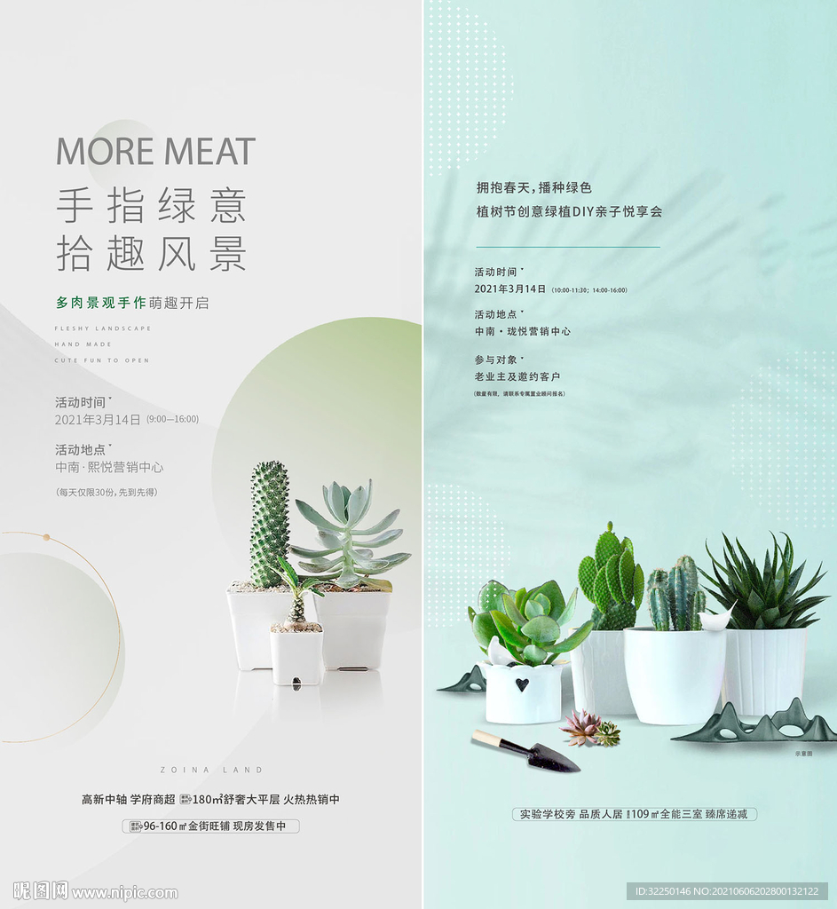 绿植