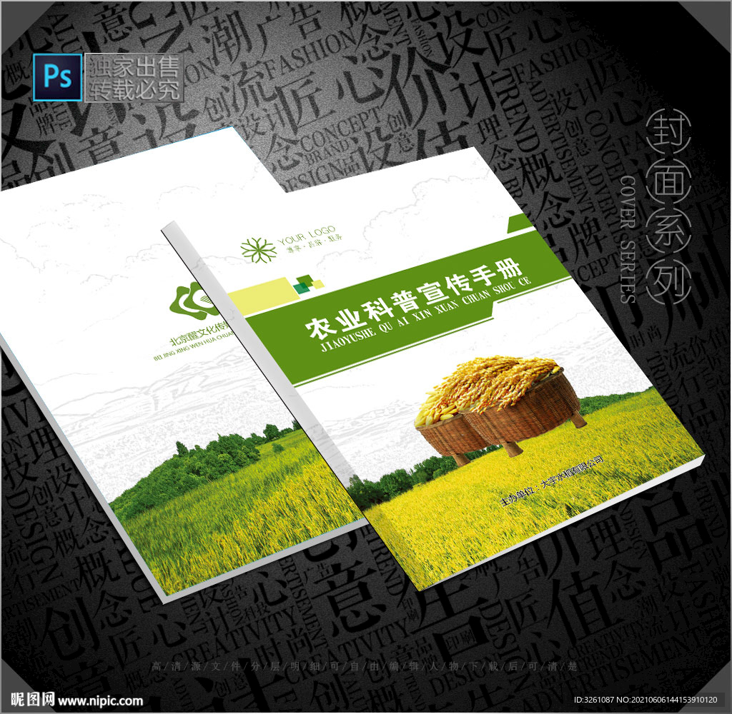 水稻封面
