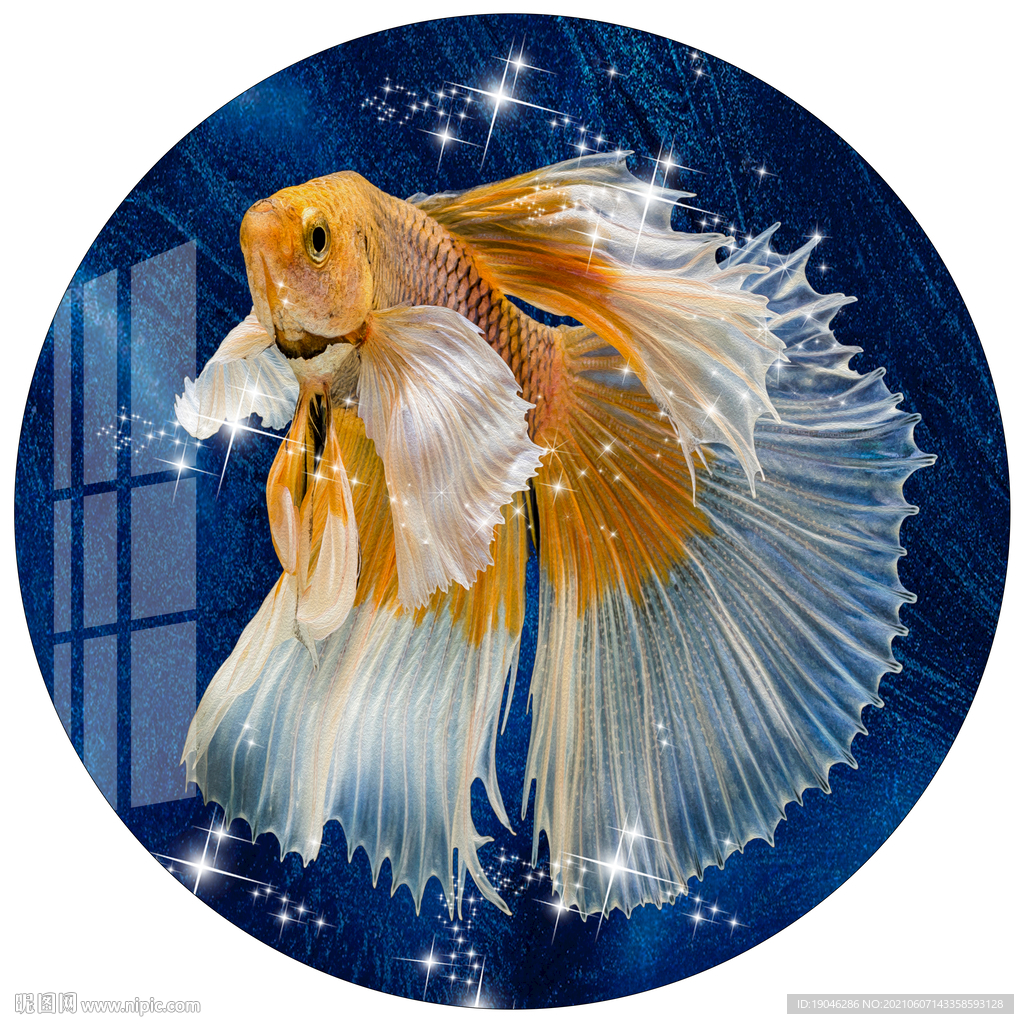 时尚金鱼圆形装饰画