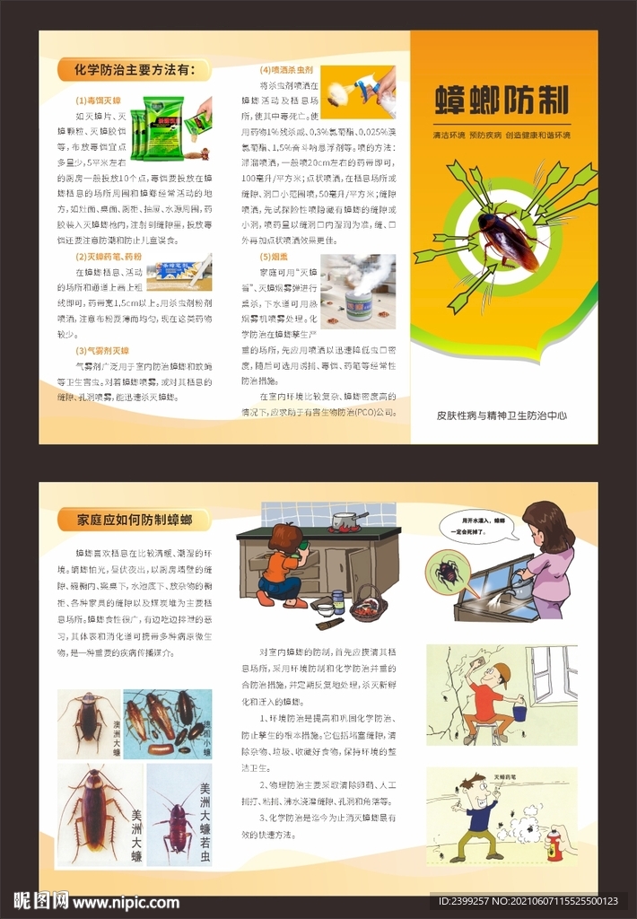 蟑螂防制三折页