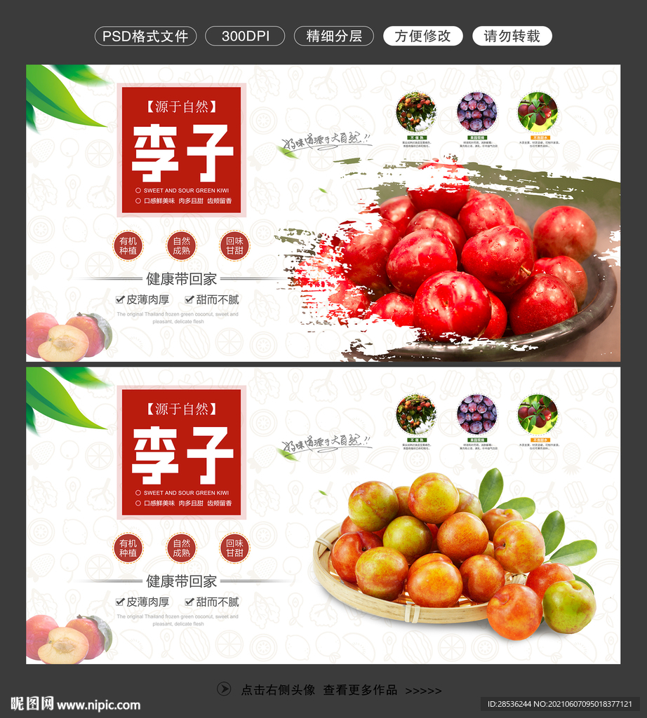 李子图片