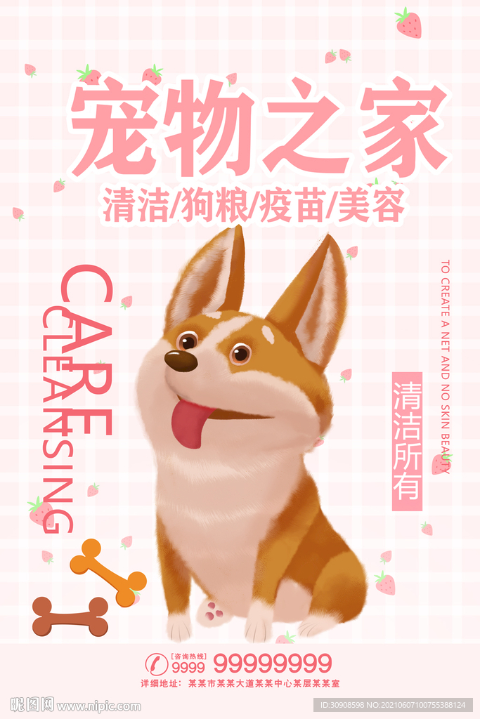 宠物