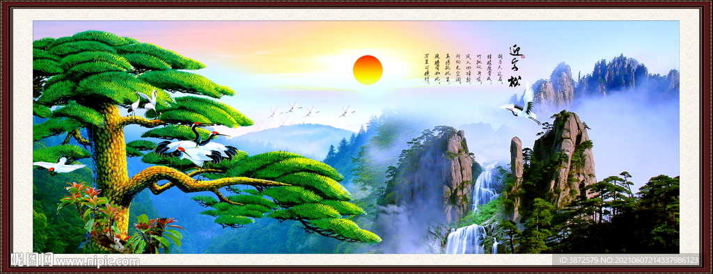 迎客松