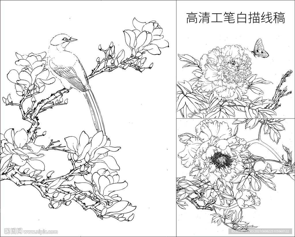 工笔花鸟牡丹