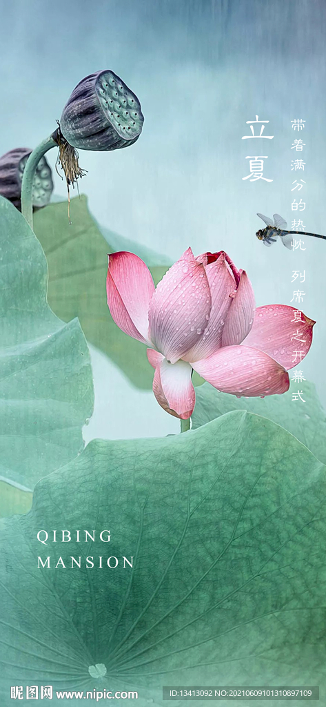 24节气夏至