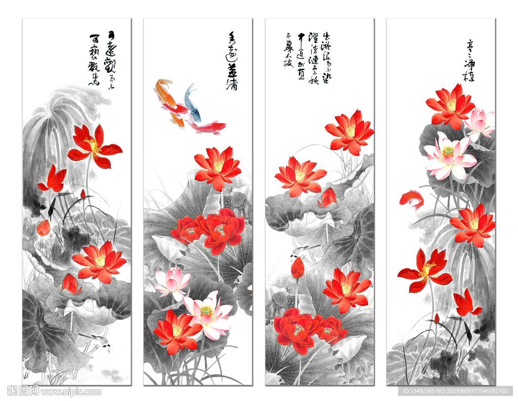 国画荷花