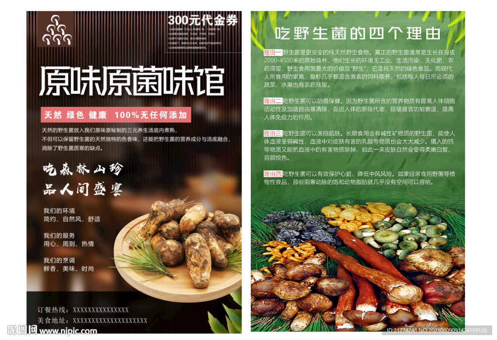 野生菌 DM单 宣传单 蘑菇 