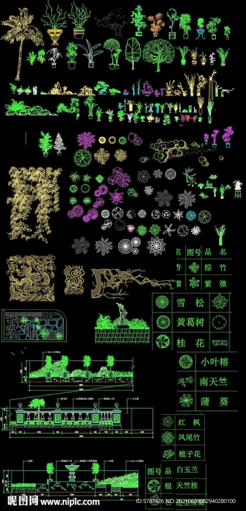 CAD植物图库