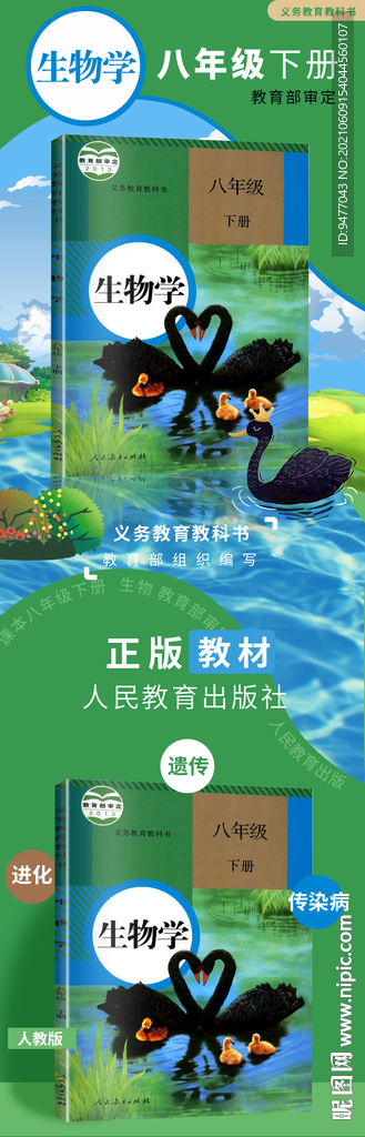部编版初中8八年级生物详情海报