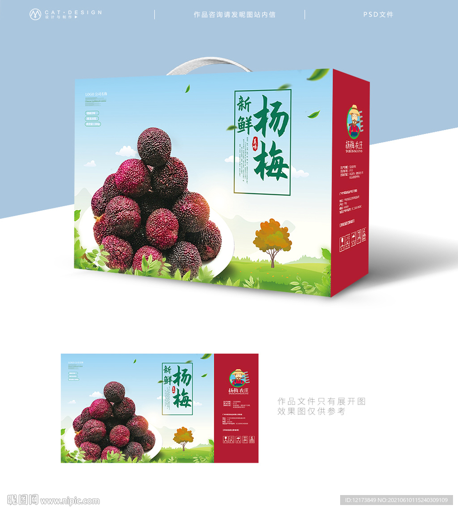 杨梅礼盒