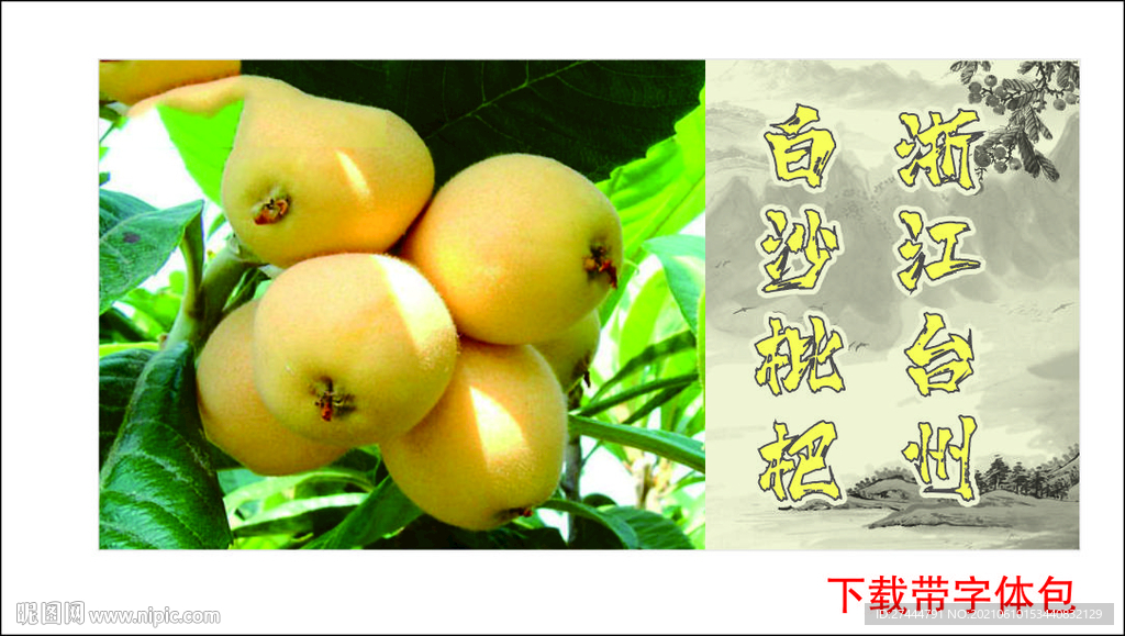 白沙枇杷包装贴纸