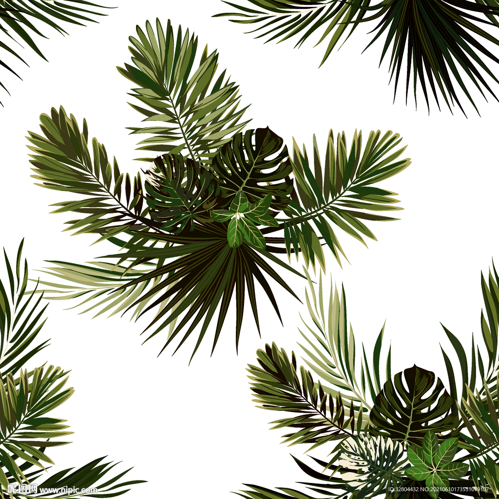 热带叶子 芭蕉叶