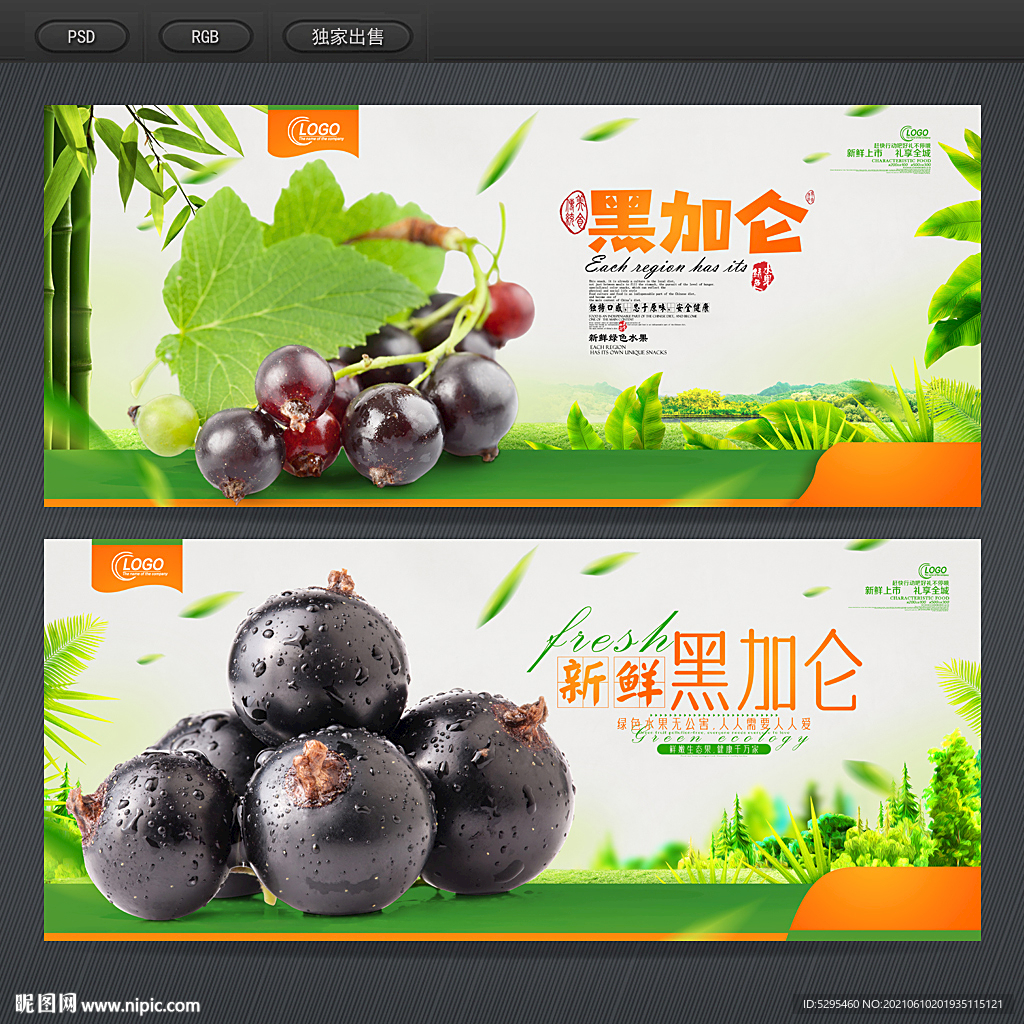 黑加仑