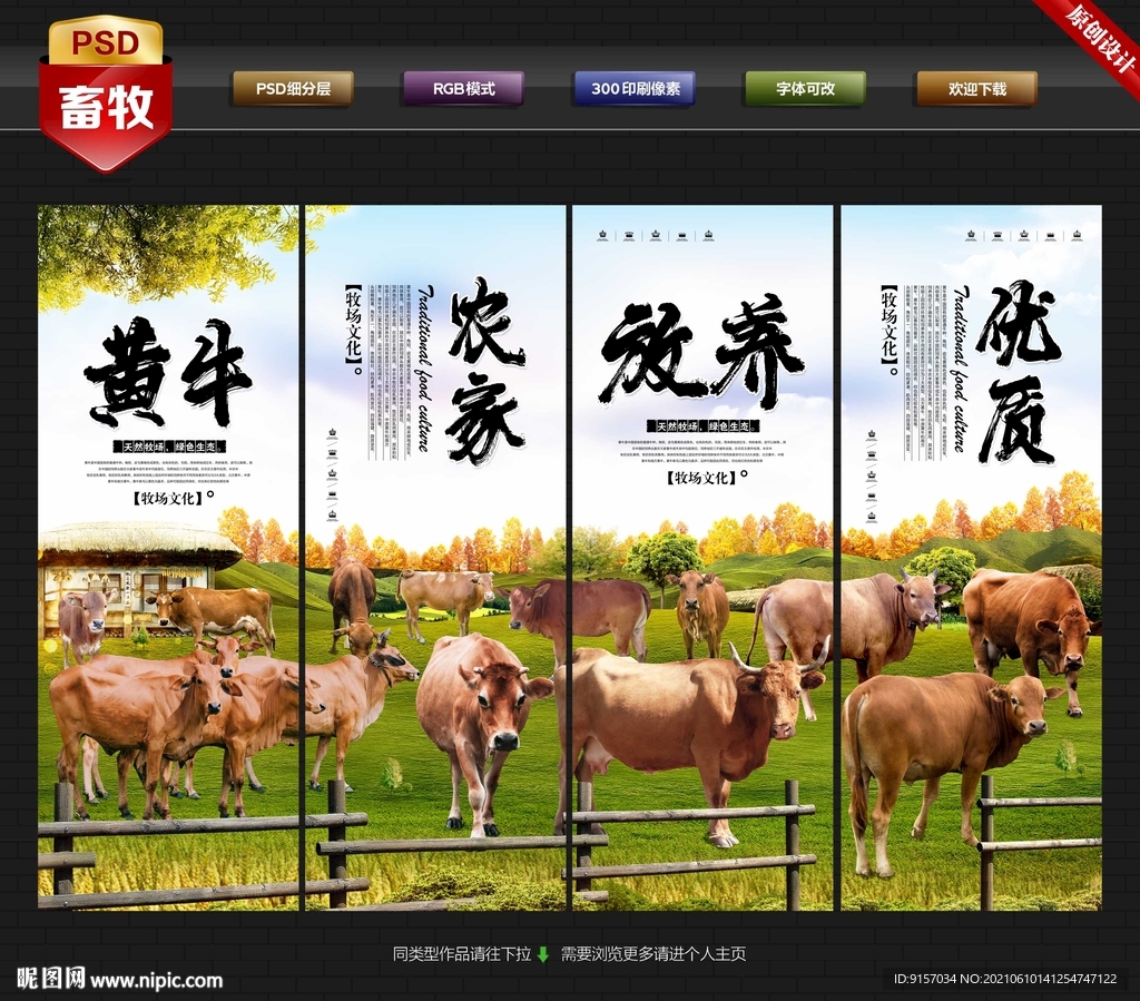 黄牛