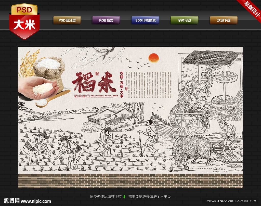 古代稻米加工流程