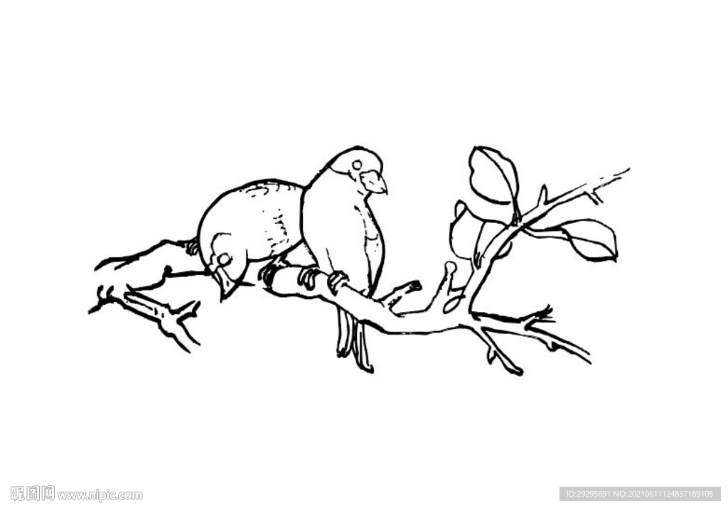 图案 花纹 矢量 线描 手绘 
