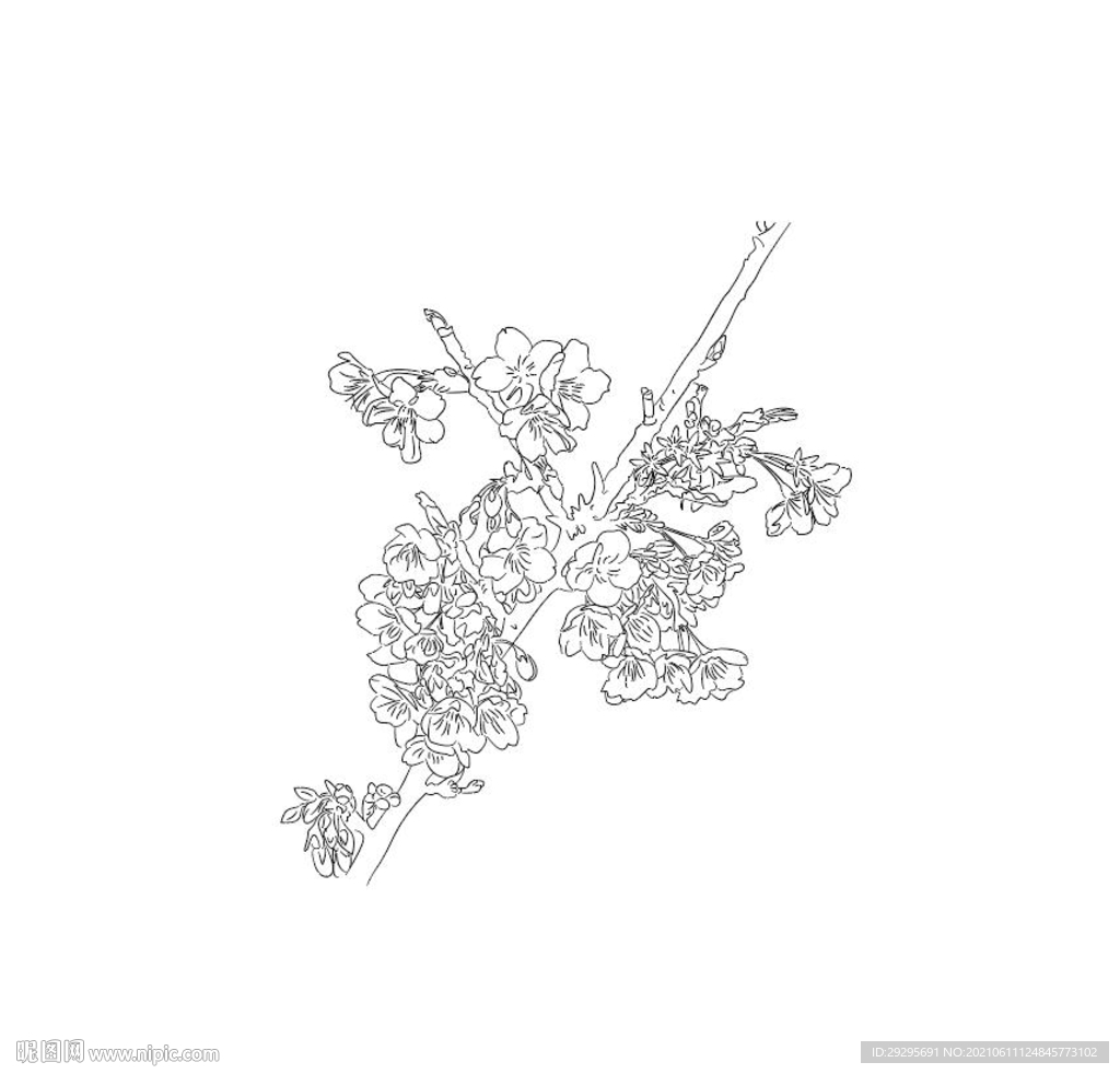 图案 花纹 矢量 线描 手绘 