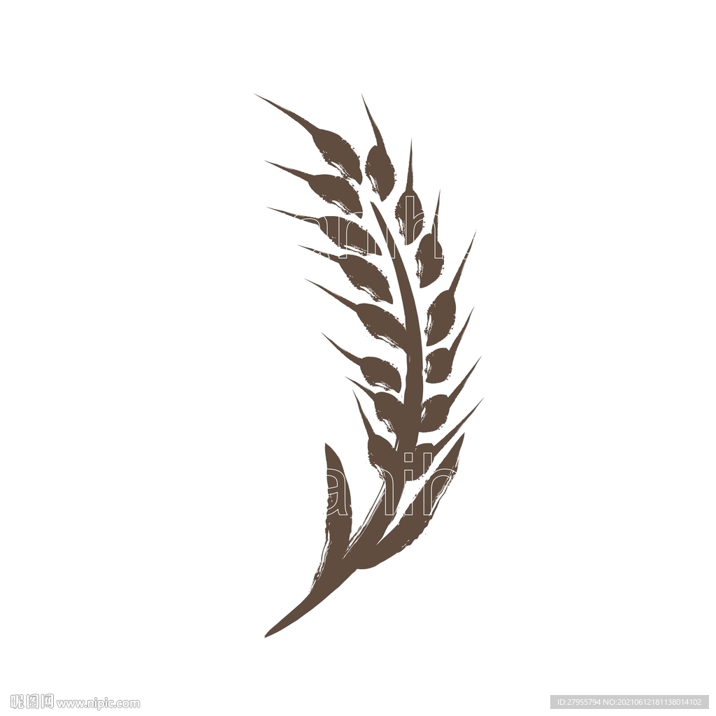 小麦矢量插画手绘