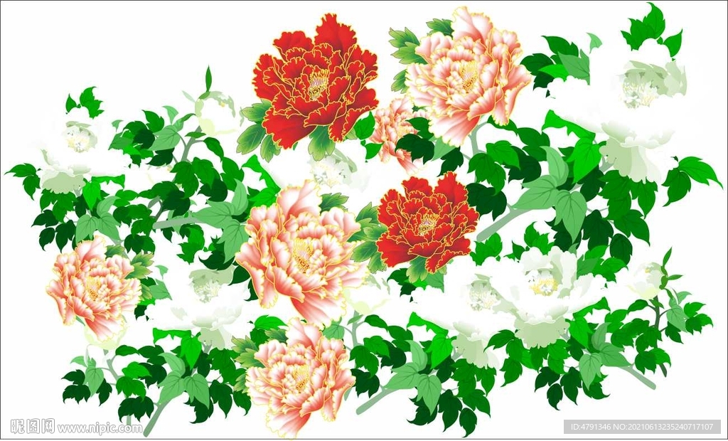 牡丹花开富贵