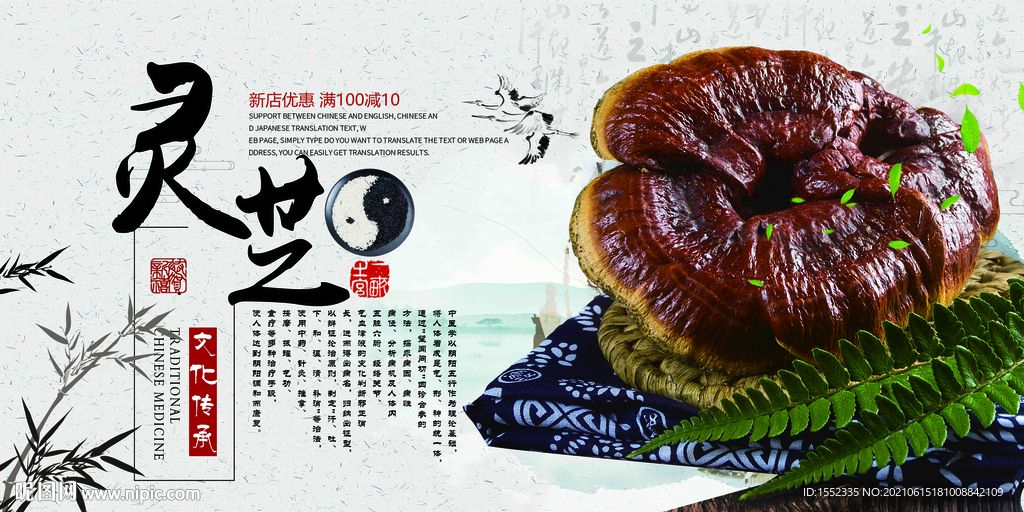 灵芝