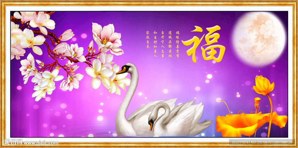 玉兰花