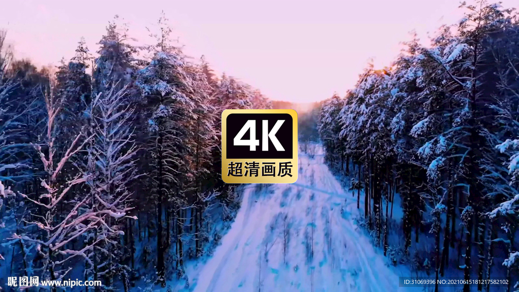 航拍雪原树林道路