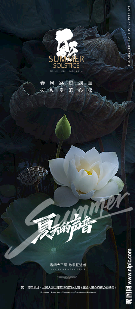 夏至