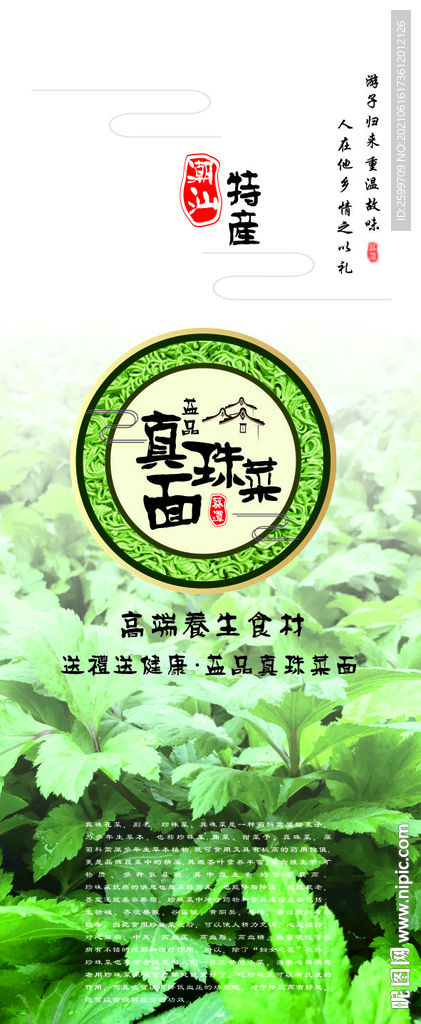 真珠菜面  
