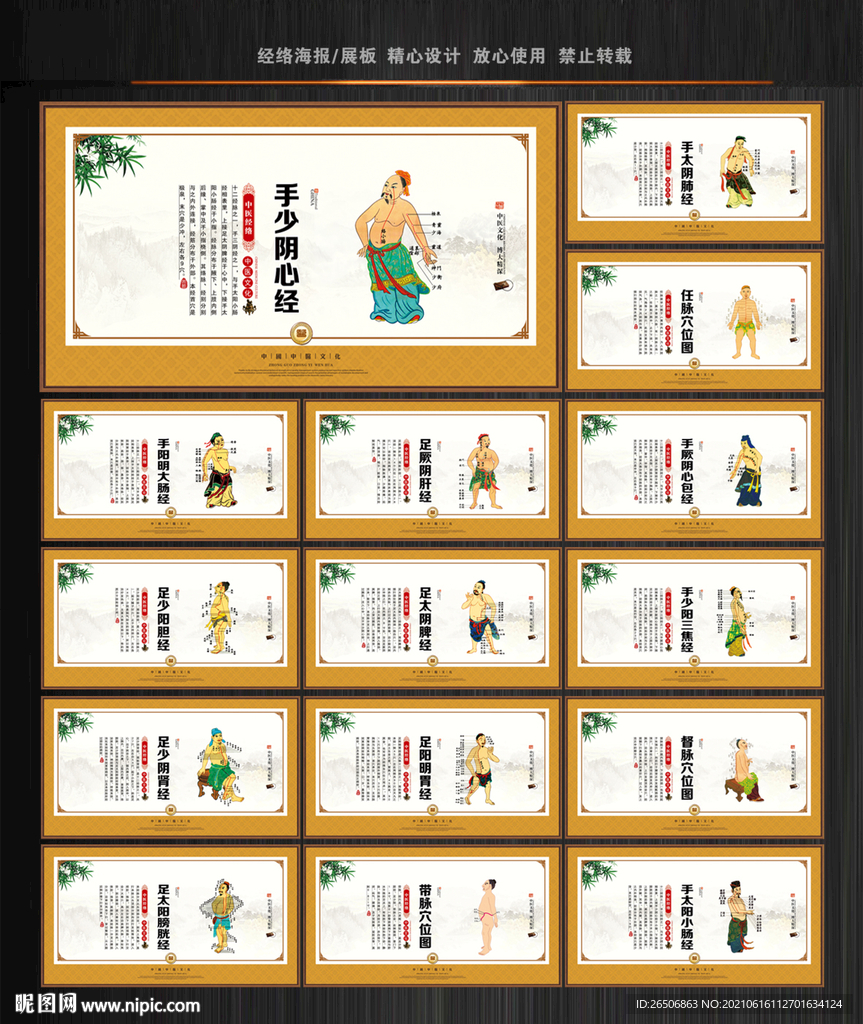 经络穴位
